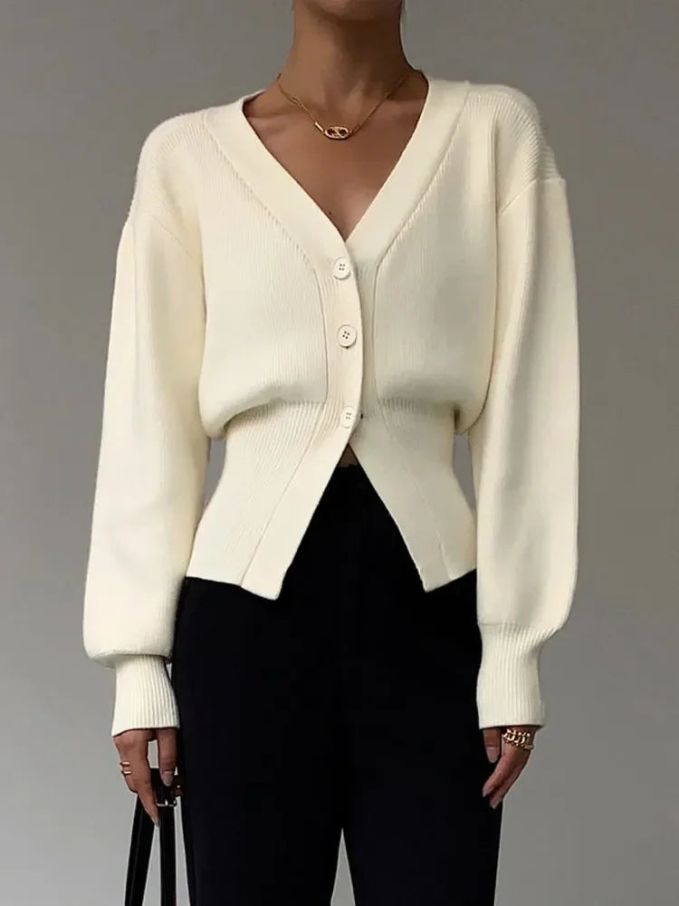 Elegant and luxurious