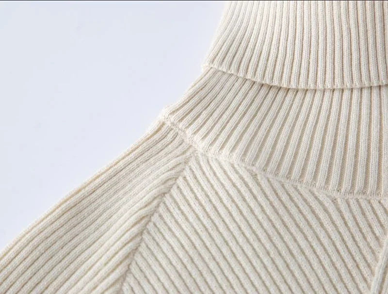 TURTLENECK SWEATER DRESS